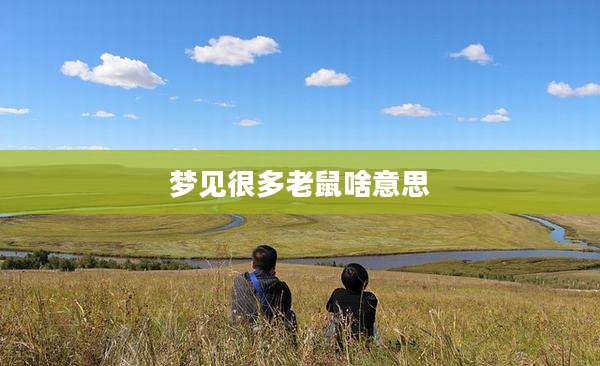 梦见很多老鼠啥意思