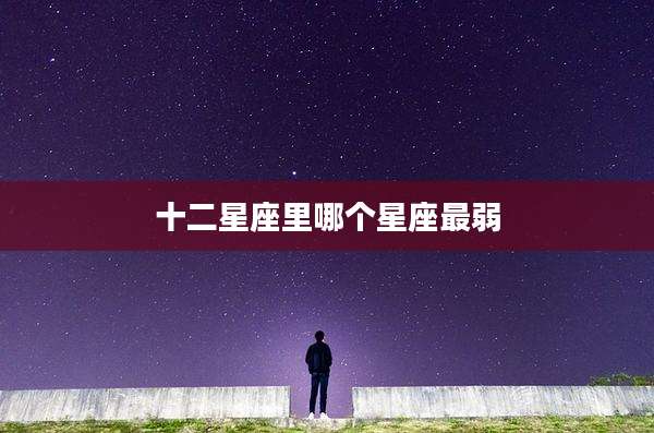 十二星座里哪个星座最弱