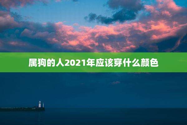 属狗的人2021年应该穿什么颜色