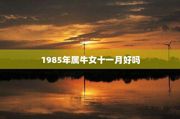 1985年属牛女十一月好吗