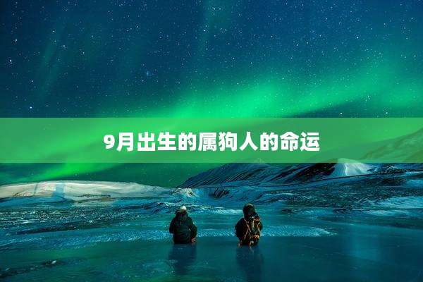 9月出生的属狗人的命运