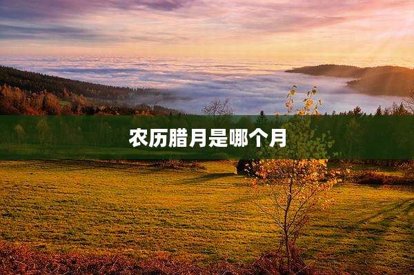 农历腊月是哪个月