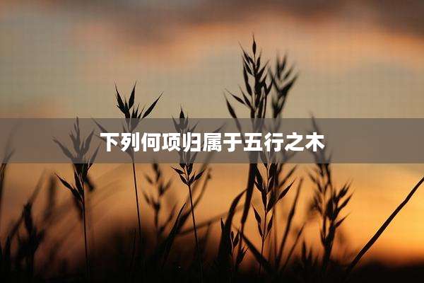 下列何项归属于五行之木