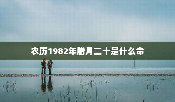农历1982年腊月二十是什么命
