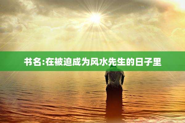 书名:在被迫成为风水先生的日子里