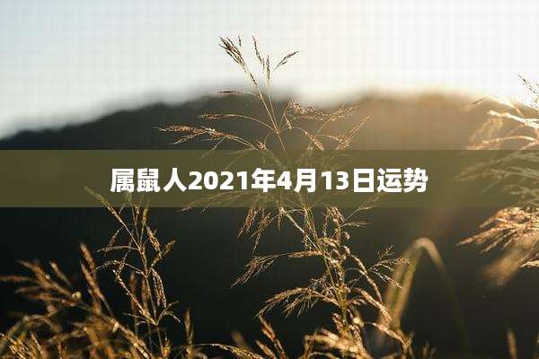 属鼠人2021年4月13日运势