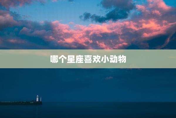 哪个星座喜欢小动物