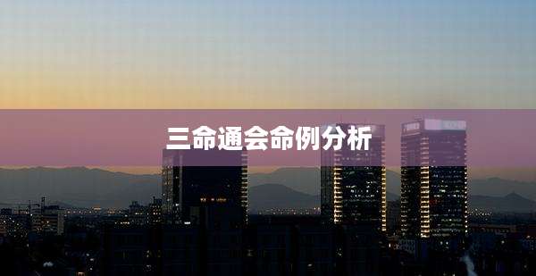 三命通会命例分析