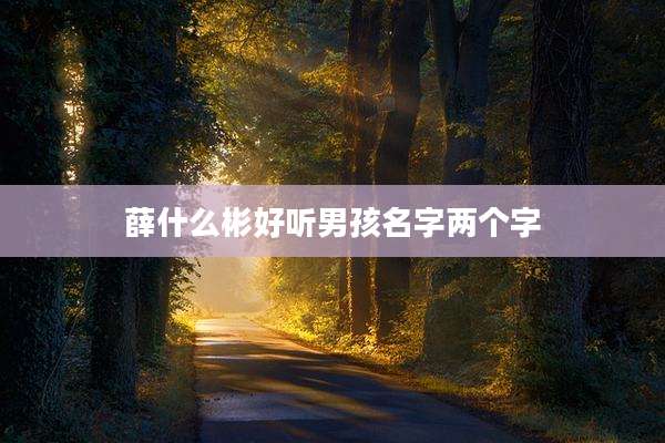 薛什么彬好听男孩名字两个字