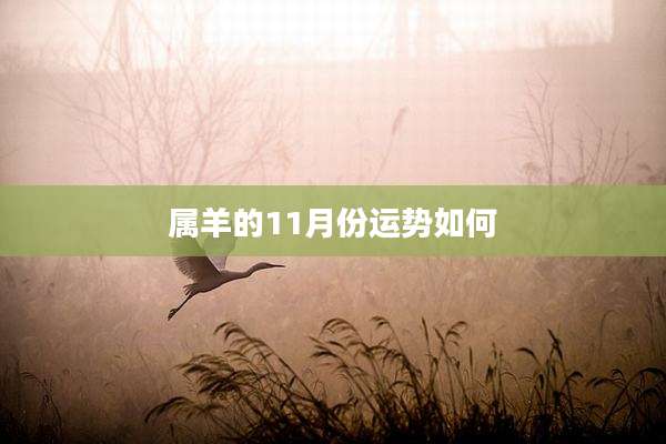 属羊的11月份运势如何