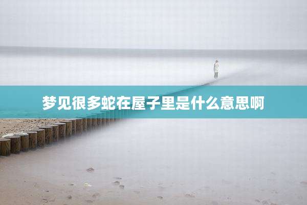 梦见很多蛇在屋子里是什么意思啊
