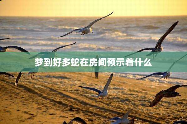 梦到好多蛇在房间预示着什么