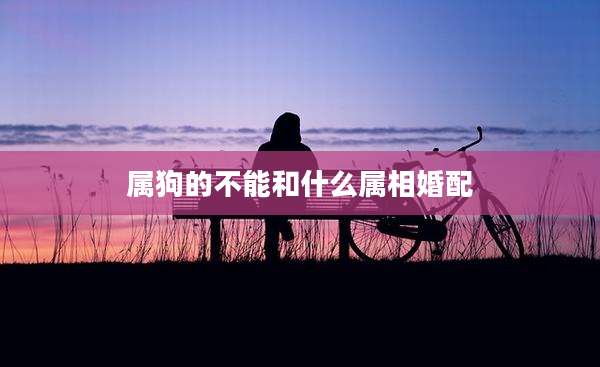 属狗的不能和什么属相婚配