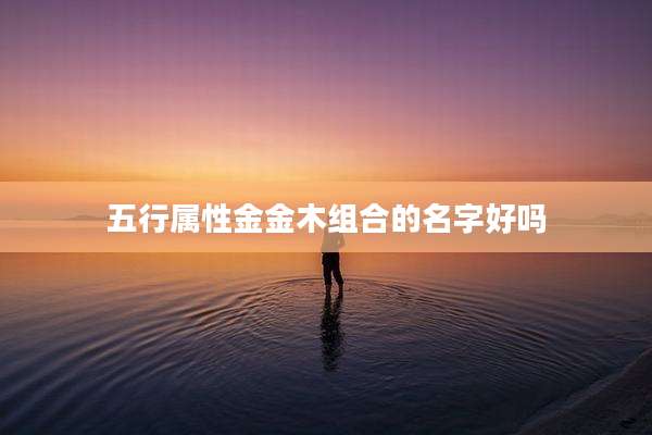 五行属性金金木组合的名字好吗