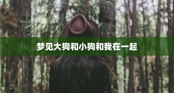 梦见大狗和小狗和我在一起