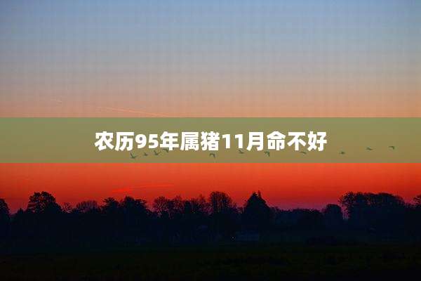 农历95年属猪11月命不好
