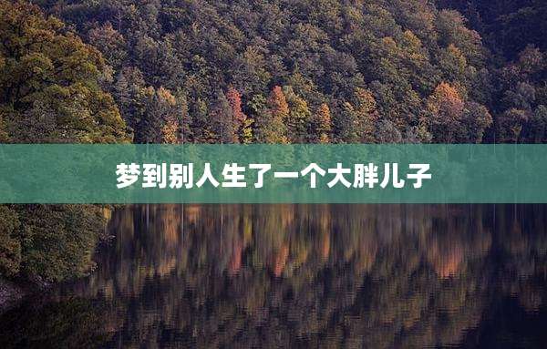 梦到别人生了一个大胖儿子