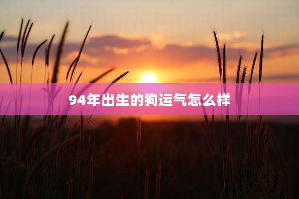94年出生的狗运气怎么样