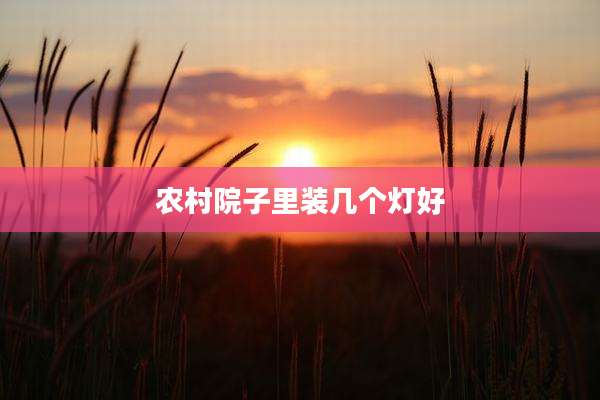 农村院子里装几个灯好