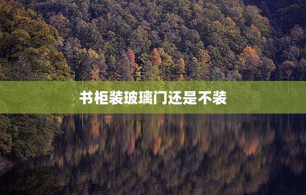 书柜装玻璃门还是不装