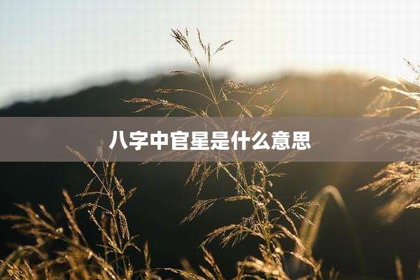 八字中官星是什么意思