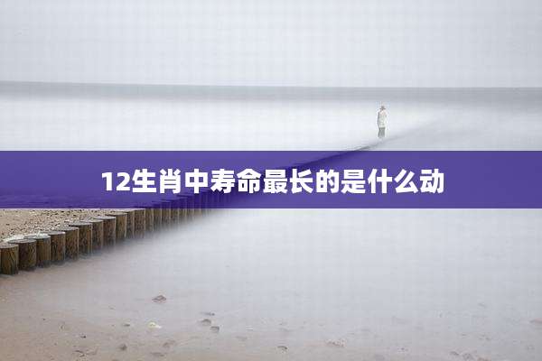 12生肖中寿命最长的是什么动