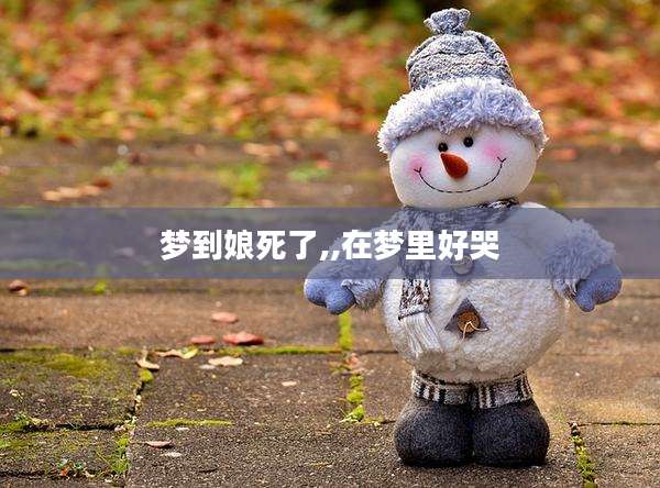 梦到娘死了,,在梦里好哭