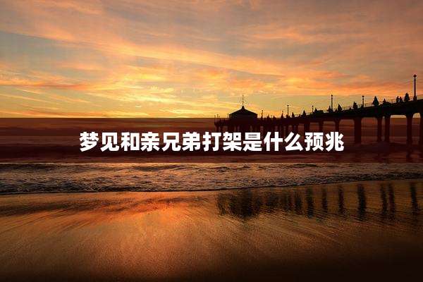 梦见和亲兄弟打架是什么预兆