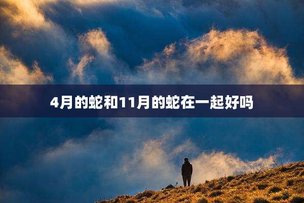 4月的蛇和11月的蛇在一起好吗