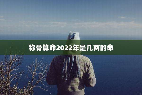 称骨算命2022年是几两的命