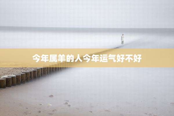今年属羊的人今年运气好不好
