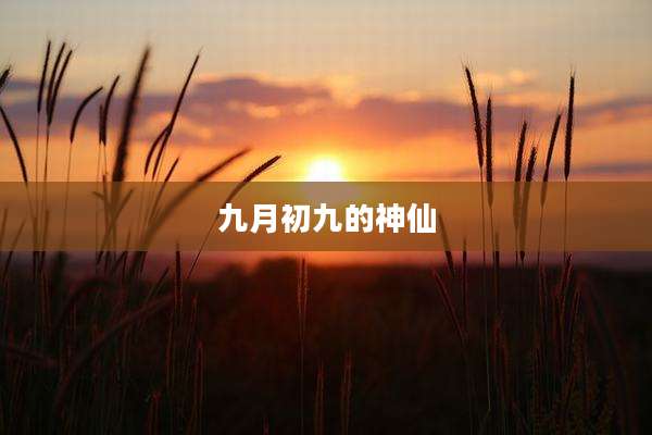 九月初九的神仙