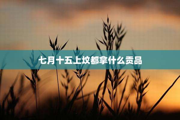七月十五上坟都拿什么贡品