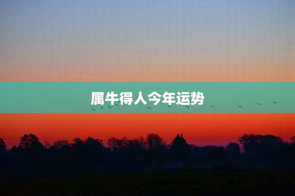 属牛得人今年运势