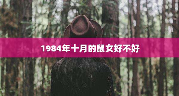 1984年十月的鼠女好不好