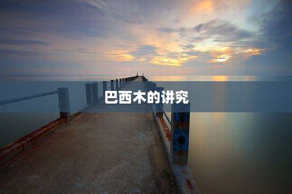 巴西木的讲究