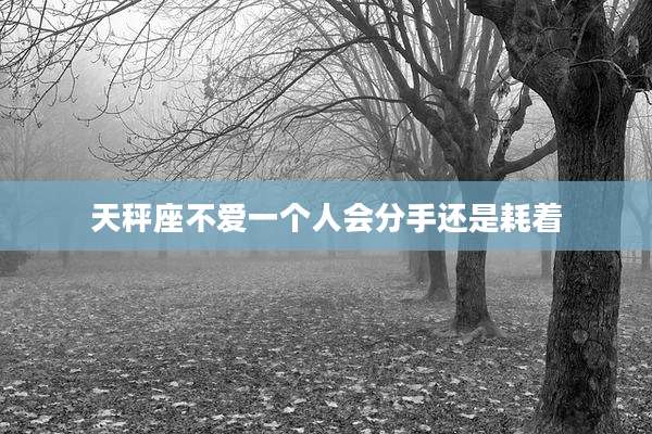 天秤座不爱一个人会分手还是耗着