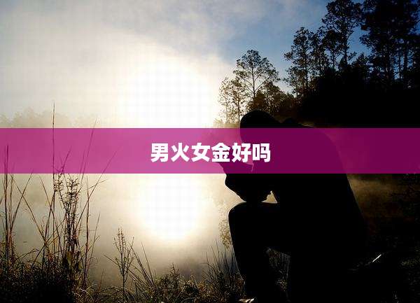 男火女金好吗