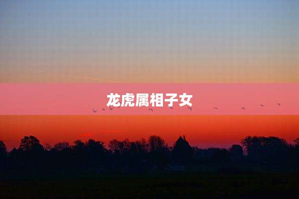 龙虎属相子女