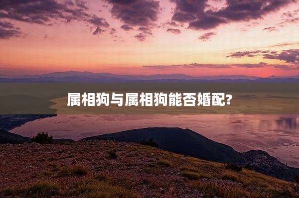 属相狗与属相狗能否婚配?