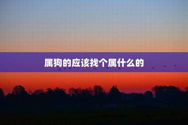属狗的应该找个属什么的