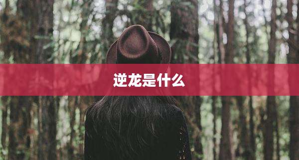 逆龙是什么