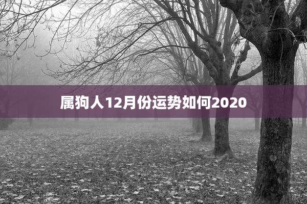 属狗人12月份运势如何2020