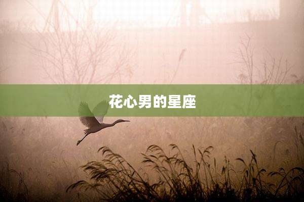 花心男的星座