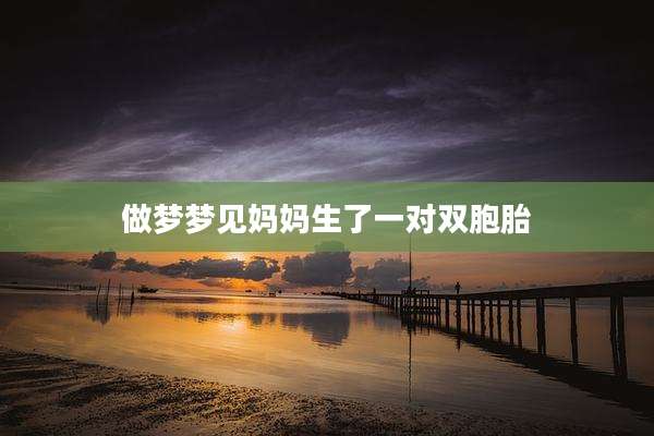 做梦梦见妈妈生了一对双胞胎
