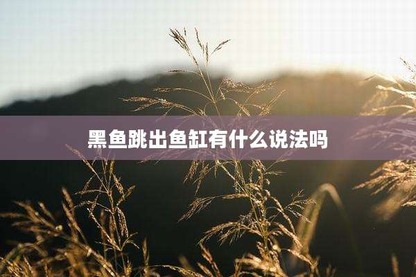 黑鱼跳出鱼缸有什么说法吗