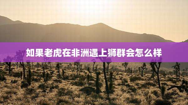 如果老虎在非洲遇上狮群会怎么样