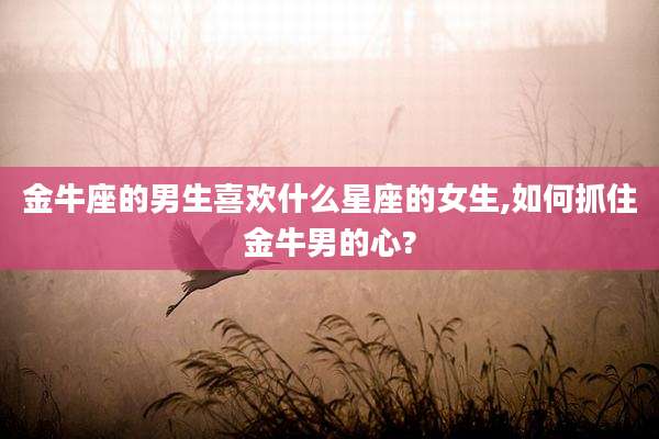 金牛座的男生喜欢什么星座的女生,如何抓住金牛男的心?