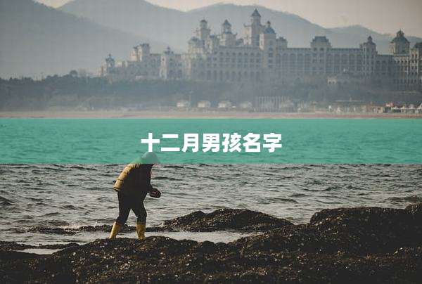 十二月男孩名字