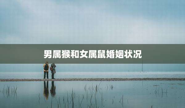 男属猴和女属鼠婚姻状况